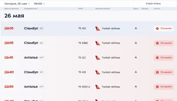 Туристам отложили вылеты в Турцию до вторника из-за отмены рейсов Turkish Airlines