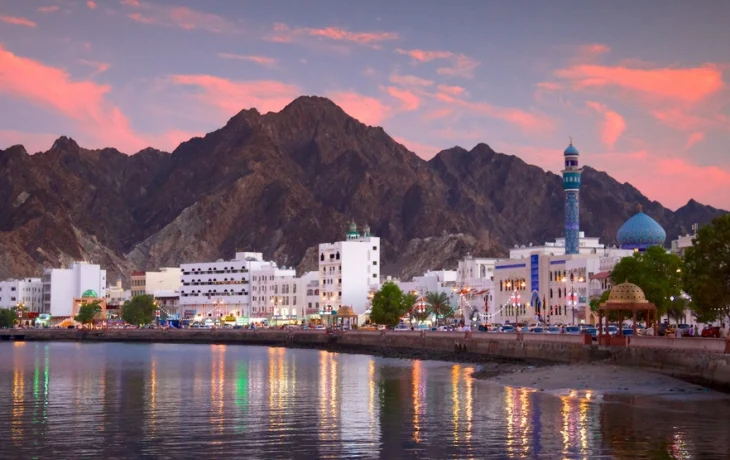 СМИ: британских туристов не смогли отправить из Омана на родину из-за усталости пилота