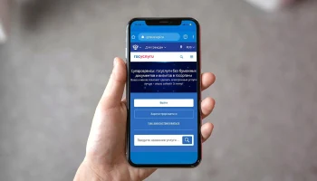 Россияне смогут подтверждать гражданство детей по рождению через Госуслуги
