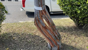 В Паттайе российский турист погиб на &laquo;смертельном повороте&raquo;