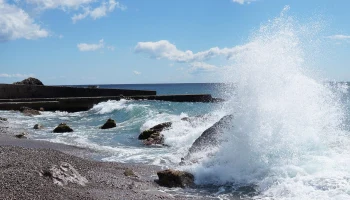 Летом над пляжами Крыма будут кружить дроны
