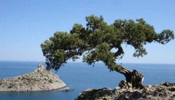 Анапа получила туристов из Крыма, но курорт все равно не заполнен