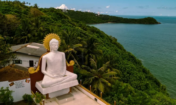 Альтернативы прямым рейсам &laquo;Аэрофлота&raquo; на Шри-Ланку: получится ли дешевле?