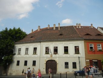 213c785e