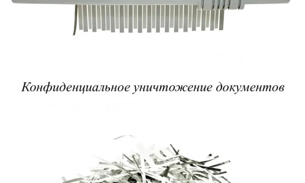 Оплата макулатуры и видеоотчет: &laquo;ЮВ-Трейд&raquo; проводит уничтожение архивных документов в Москве