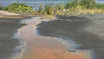 Клязьминское водохранилище под угрозой: результаты анализа воды пугают экологов и жителей района