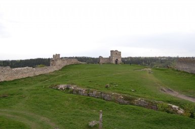 b8e82529