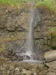 31df811a