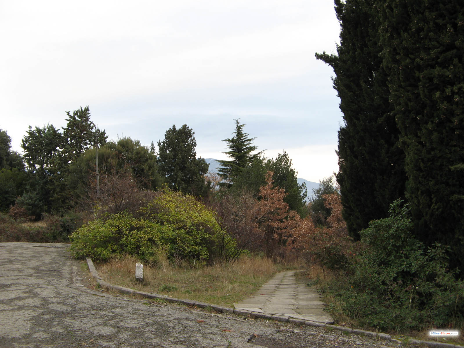 Парк Ливадийского дворца Фото достопримечательностей Крыма и ЮБК: Парк Ливадийского дворца