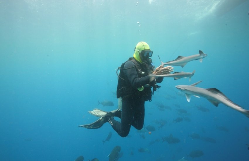 Фото достопримечательностей островов: