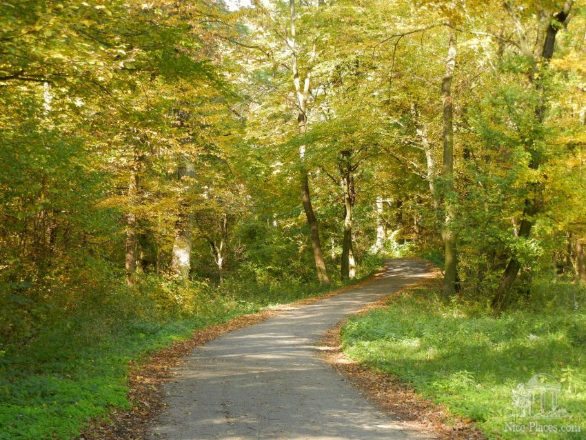 Вело-дорожка в заповеднике Нива-Дые Фото достопримечательностей Чехии: Вело-дорожка в заповеднике Нива-Дые