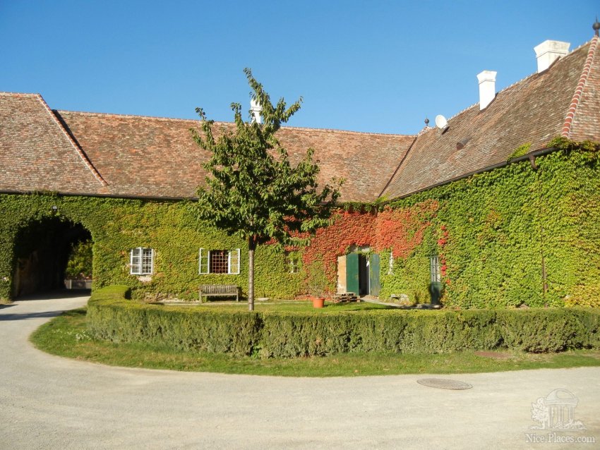 Фермерская усадьба MeierHof. Здания конюшен в зарослях дикого винограда Фото достопримечательностей Австрии: Фермерская усадьба MeierHof. Здания конюшен в зарослях дикого винограда