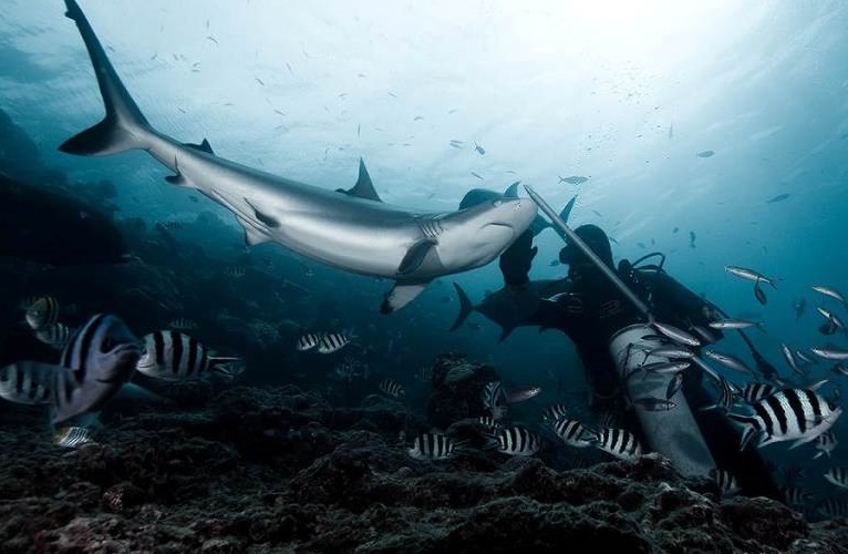 Фото достопримечательностей островов: