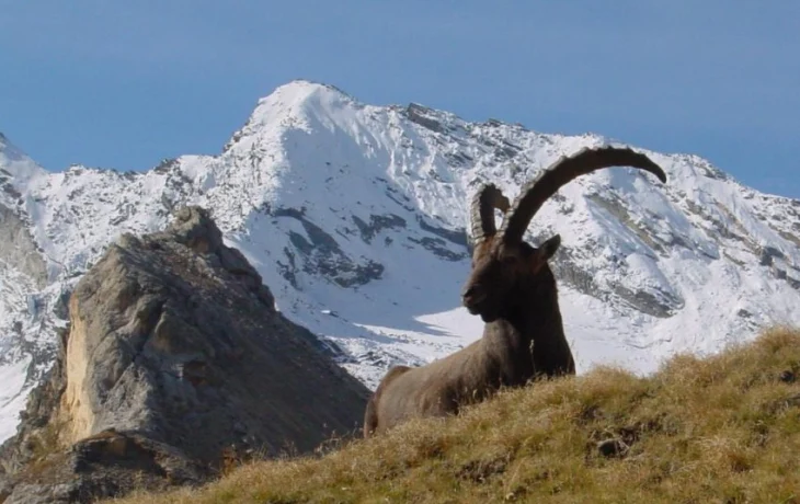 Лучшие горнолыжные курорты франции с фото и картой Лучшие горнолыжные курорты франции с фото и картой