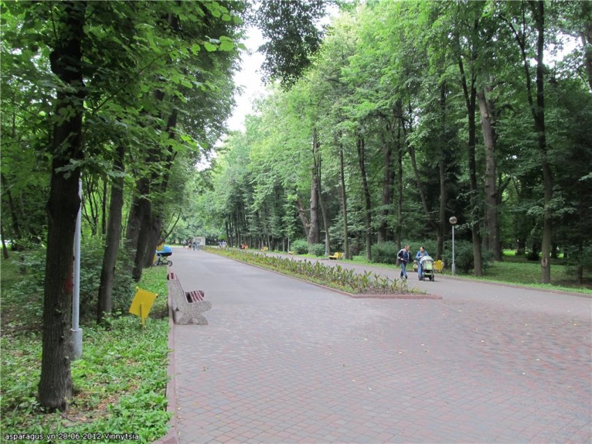 Аллея в Винницком парке им. Горького Фото достопримечательностей Других достопримечательностей Украины: Аллея в Винницком парке им. Горького