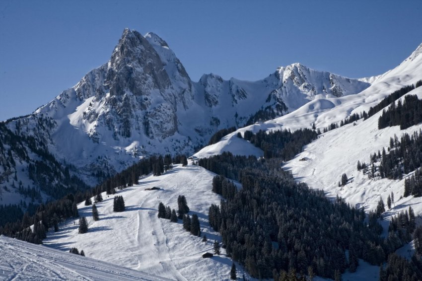 Пологие спуски Гштада для начинающих и лыжников среднего уровня мастерства Фото достопримечательностей Швейцарии: Пологие спуски Гштада для начинающих и лыжников среднего уровня мастерства