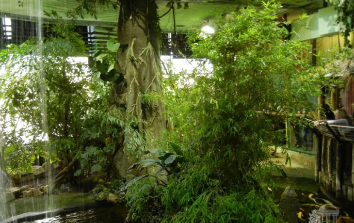 На Рождество в Будапешт — Тропикариум и рождественские ярмарки На Рождество в Будапешт — Тропикариум и рождественские ярмарки