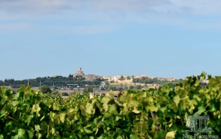 Майока - Испания - Вина Майорки Майока - Испания - Вина Майорки