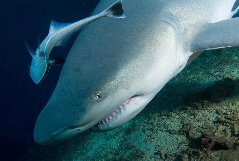 Фото достопримечательностей островов: