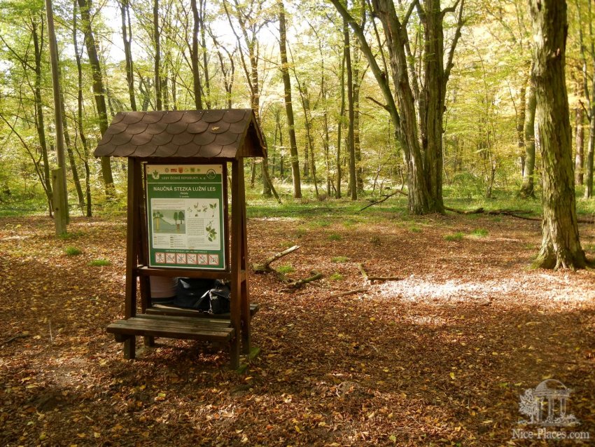 Научная тропа в заповеднике Нива Дые Фото достопримечательностей Чехии: Научная тропа в заповеднике Нива Дые