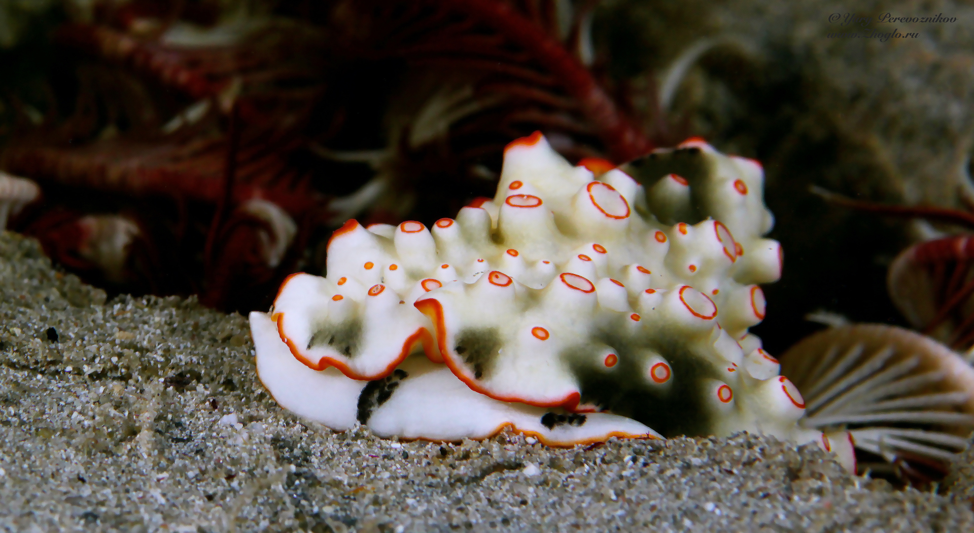 Фото достопримечательностей островов: