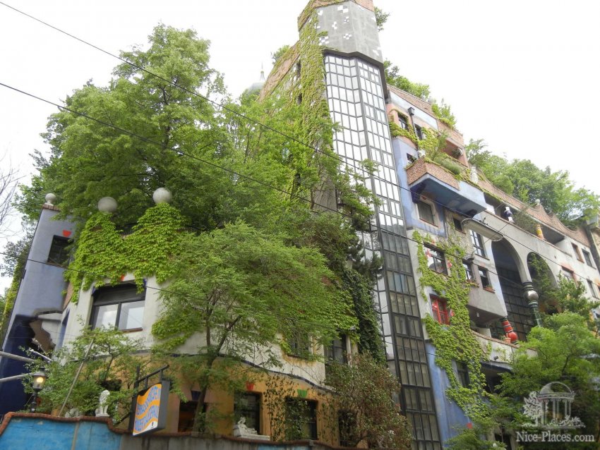 На крыше и террасах дома Хундертвассера уже целый лес Фото достопримечательностей Вены: На крыше и террасах дома Хундертвассера уже целый лес
